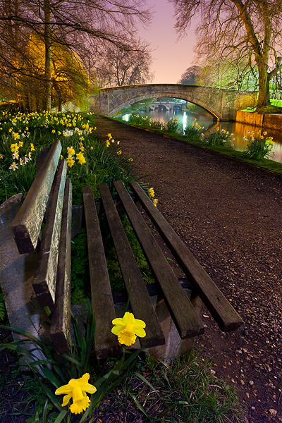 bench surrounded by flowers within Queen's College at Cambridge University in England
