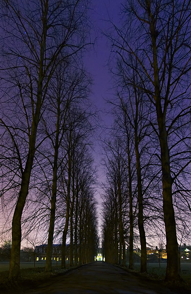 starlit path to the backs from Trinity College at Cambridge University in England
