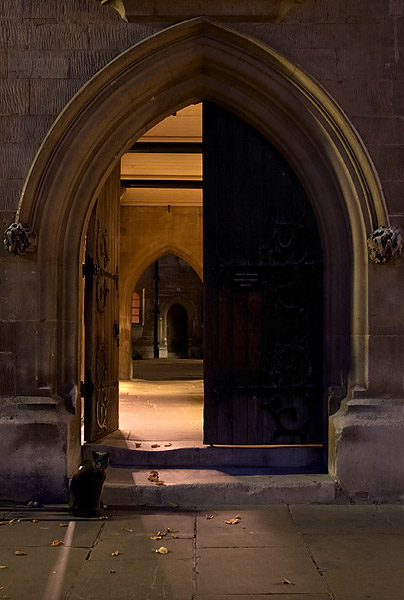 Cat at Whewell's Court - Trinity College, Cambridge University in England