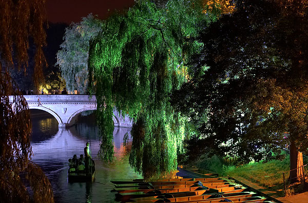 Night punter within the trees during the Trinity May Ball at Cambridge University in England