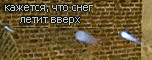 увеличенный фрагмент