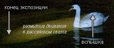 увеличенный фрагмент