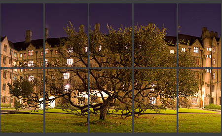 Spider Tree, Mosaic